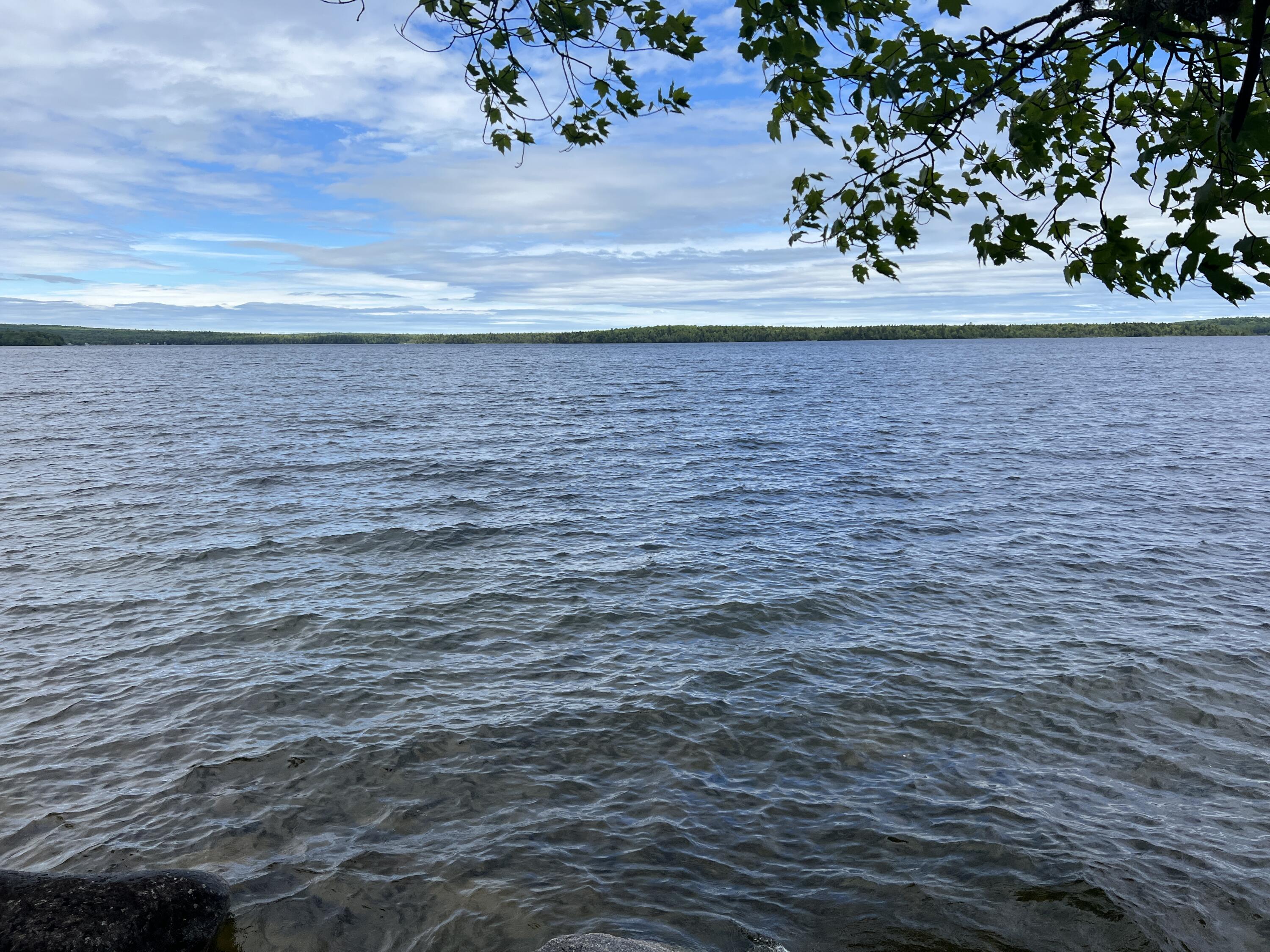 0 Lake Drive Cathance Township, ME 04657 - Photo 21 of 23 IMG_5448