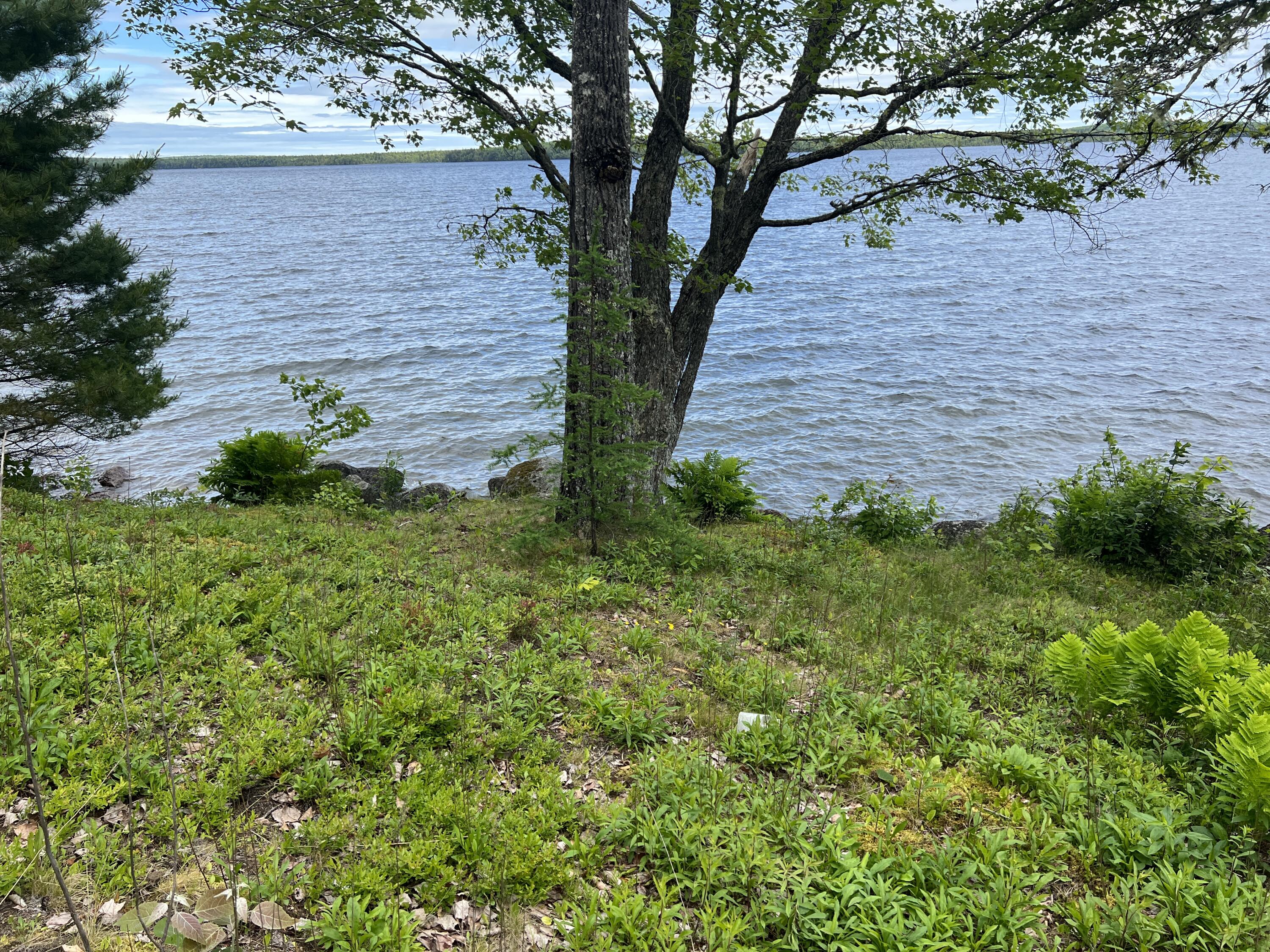 0 Lake Drive Cathance Township, ME 04657 - Photo 22 of 23 IMG_5453