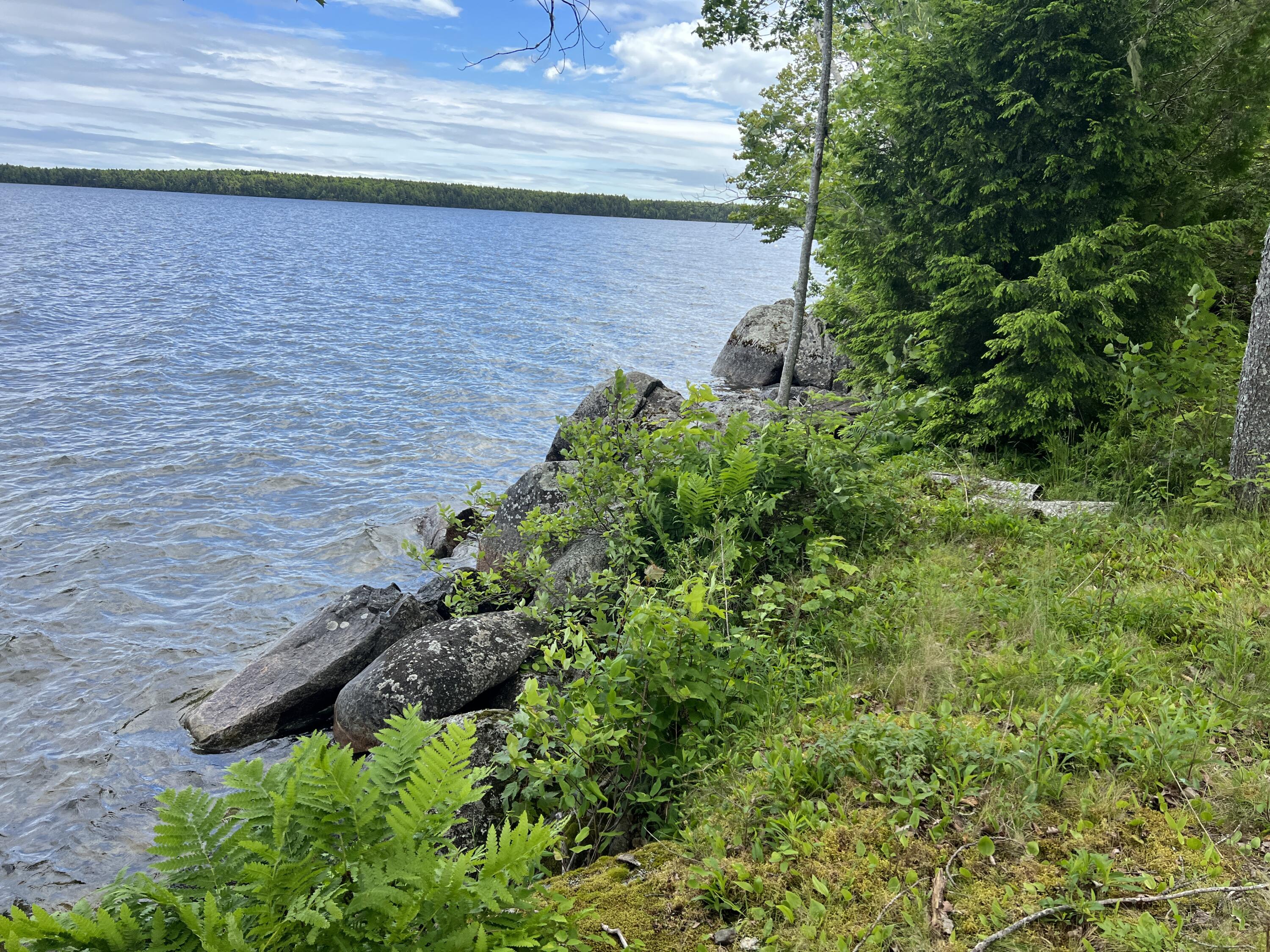 0 Lake Drive Cathance Township, ME 04657 - Photo 3 of 23 IMG_5450