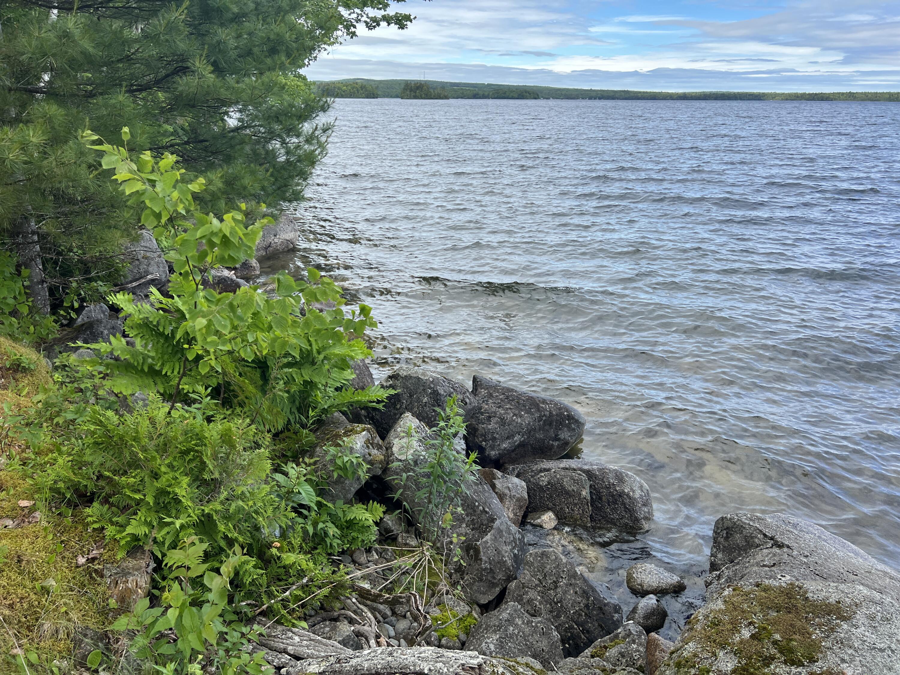 0 Lake Drive Cathance Township, ME 04657 - Photo 4 of 23 IMG_5451