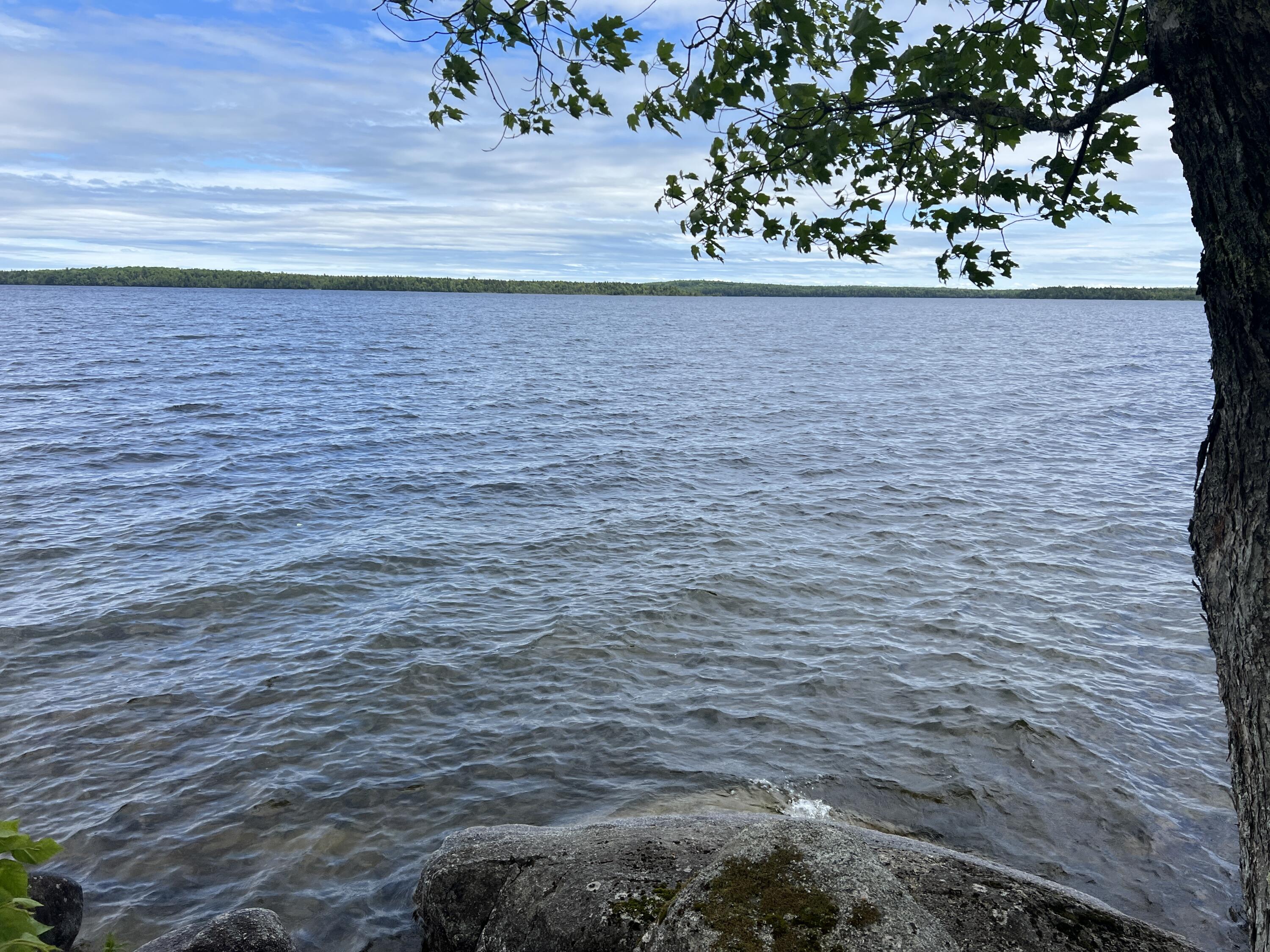 0 Lake Drive Cathance Township, ME 04657 - Photo 5 of 23 IMG_5449