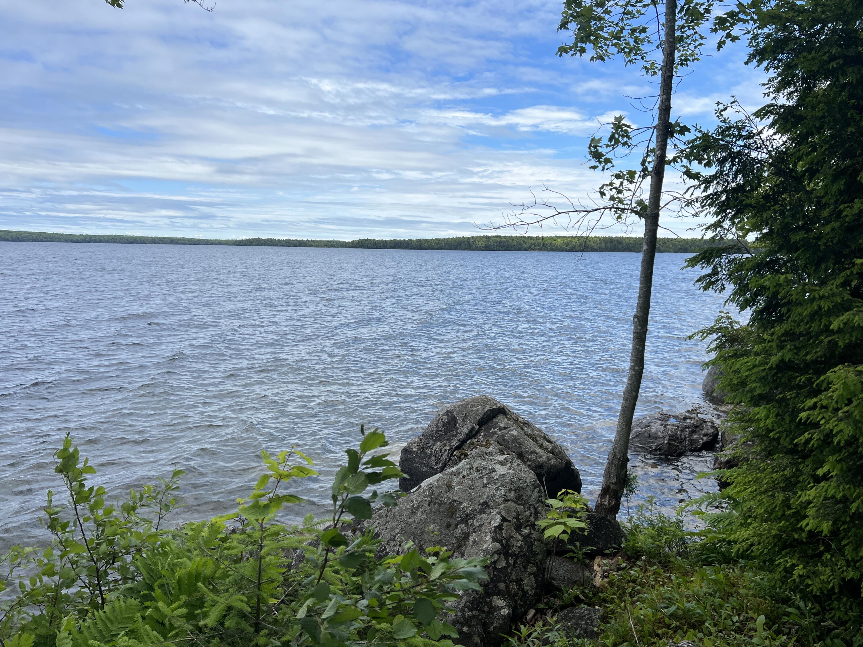 0 Lake Drive Cathance Township, ME 04657 - Photo 6 of 23 IMG_5446