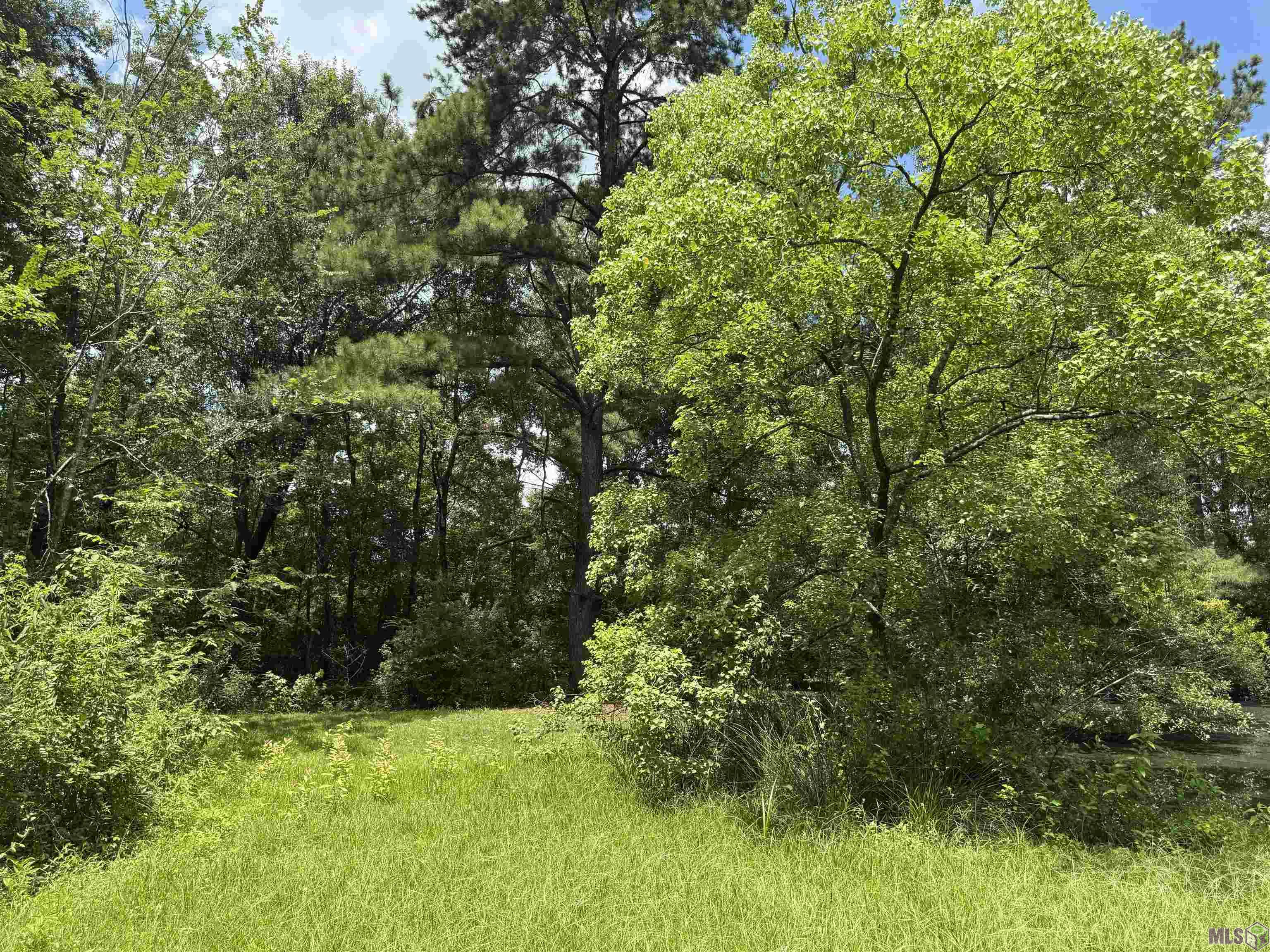 2553 Lirocchi Drive Baton Rouge, LA 70816 - Photo 3 of 7