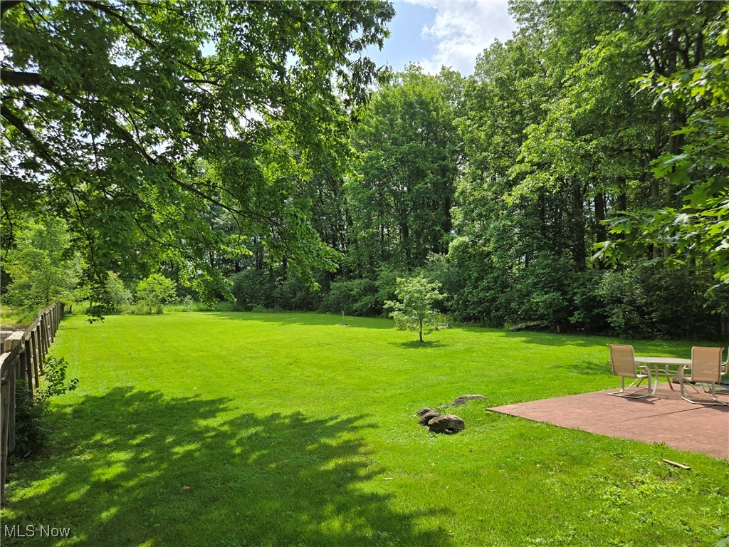 11225 Ridge Road North Royalton, OH 44133 - Photo 6 of 20 Backyard
