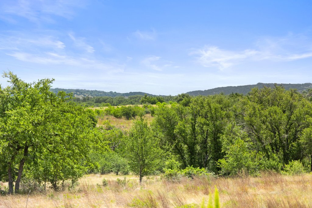 207 Verbena Road Johnson City, TX 78636 - Photo 2 of 40 Vast green spaces and rolling hills define this tranquil property's generous natural landscape.