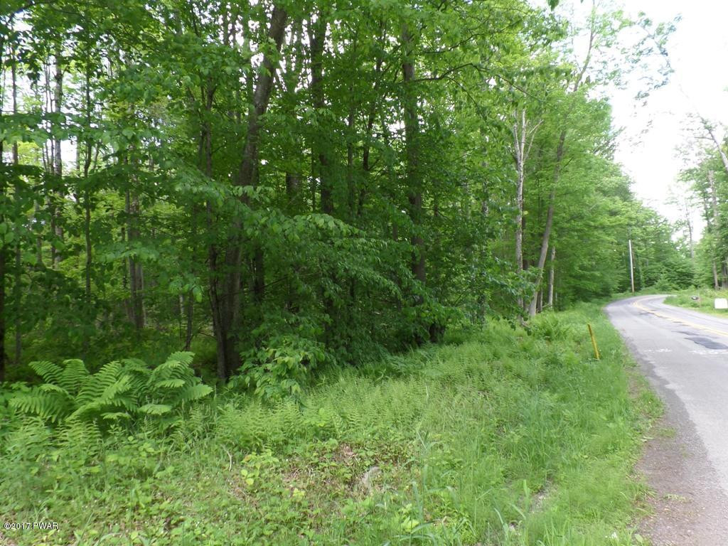 Lot 1 Avoy & Wallace Road Lake Ariel, PA 18436 - Photo 4 of 6