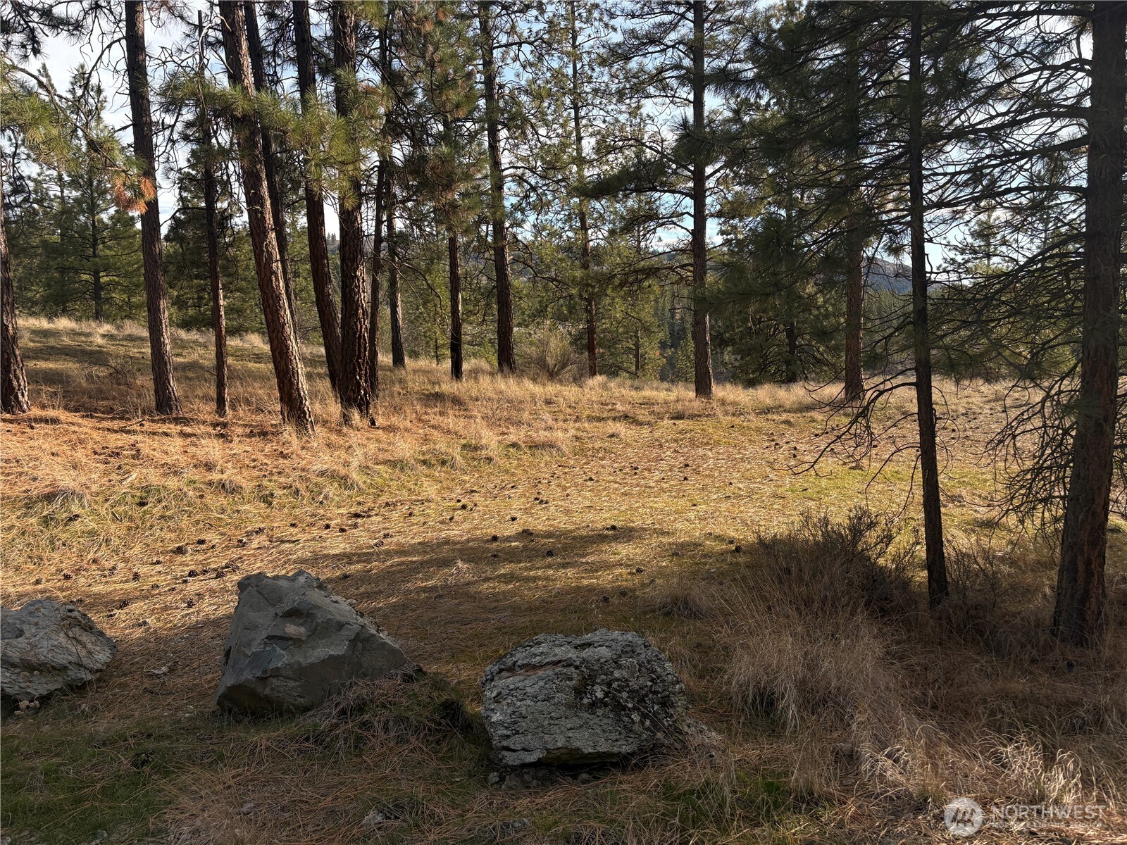 a view of a backyard of the house