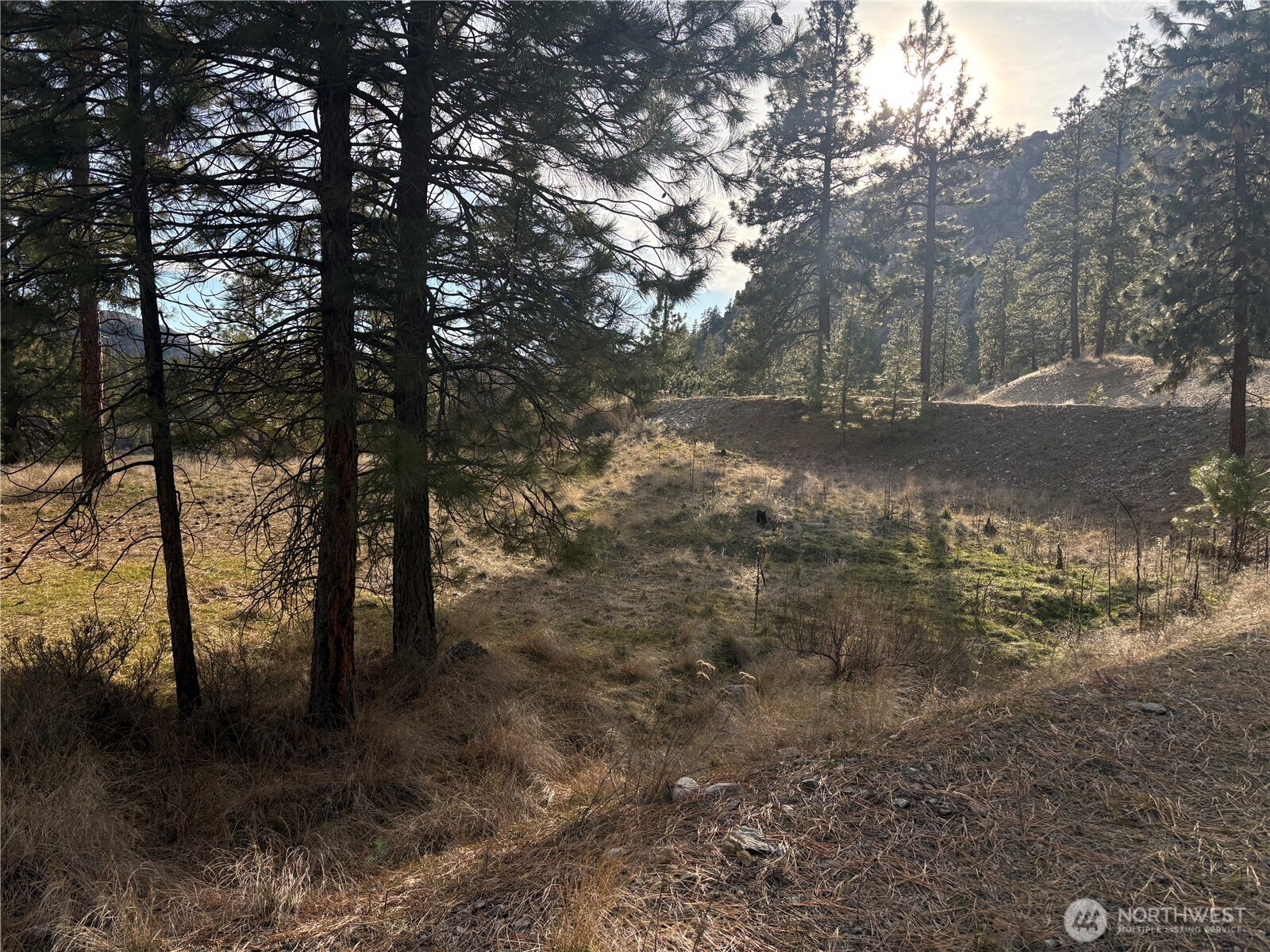 2 Mist Lake Road Tonasket, WA 98855 - Photo 2 of 5 a view of a forest