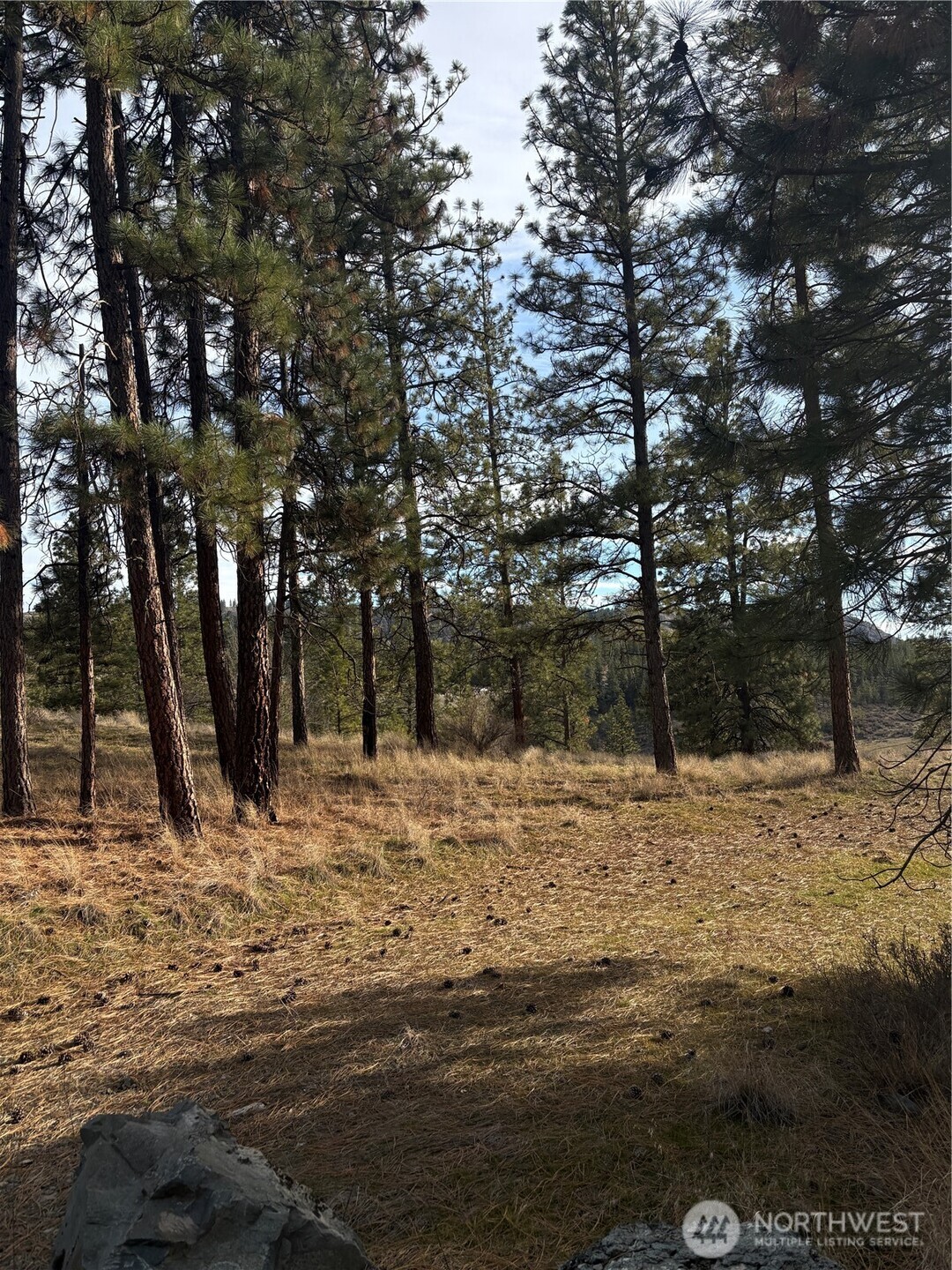2 Mist Lake Road Tonasket, WA 98855 - Photo 3 of 5 a view of a yard with trees