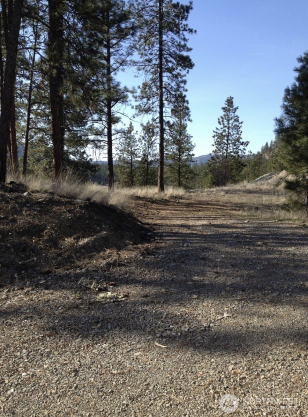 2 Mist Lake Road Tonasket, WA 98855 - Photo 5 of 5 a view of dirt yard with a large tree
