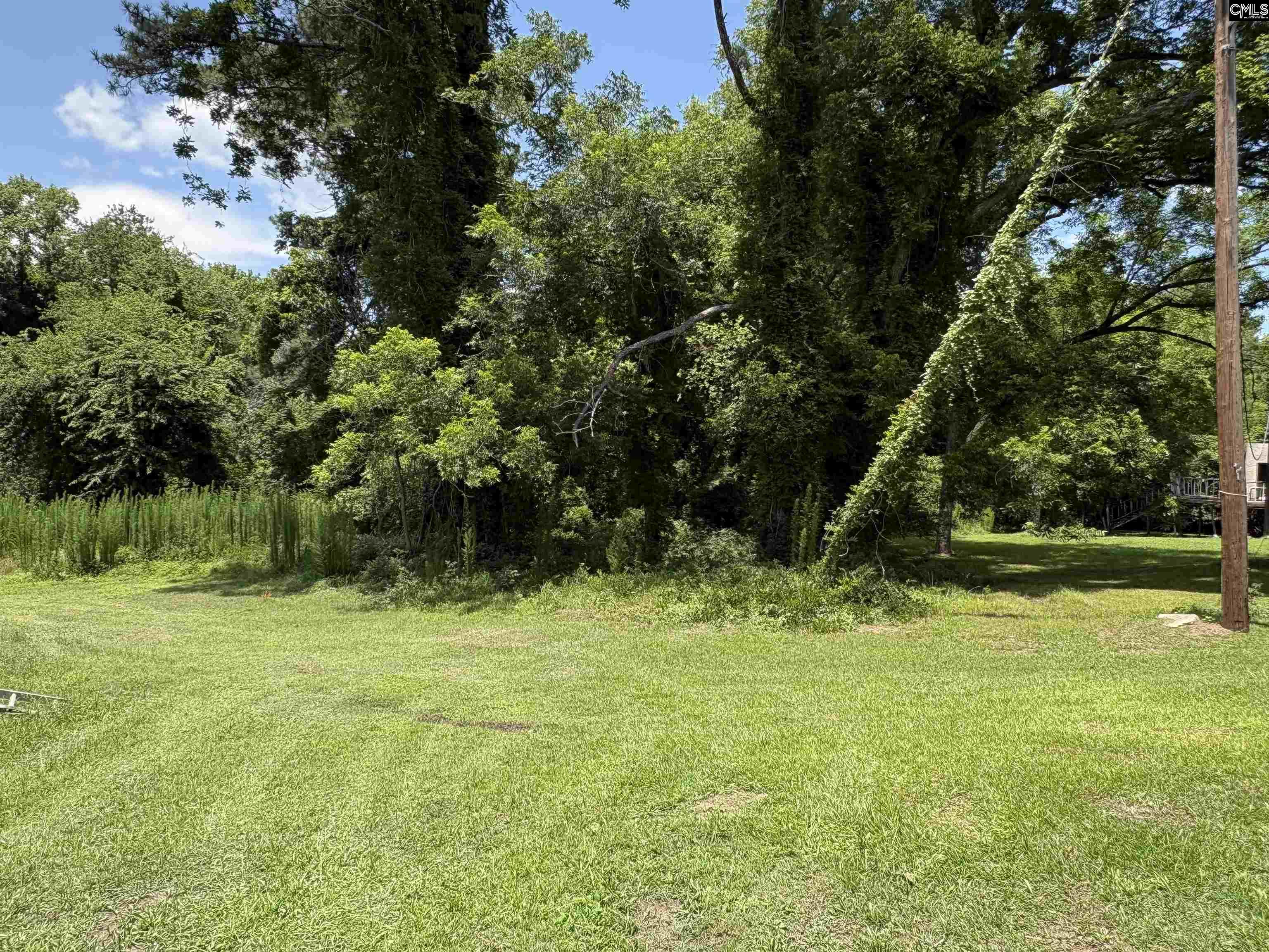 127 Feaster Street Whitmire, SC 29178 - Photo 8 of 34