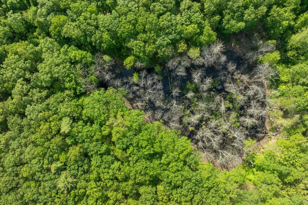 191 Mendon Road Northbridge, MA 01534 - Photo 15 of 17