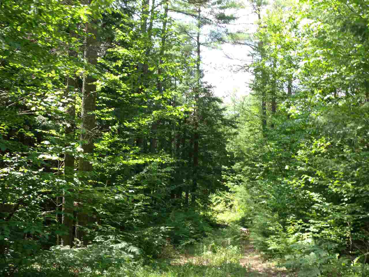 L06 County Road Dunbarton, NH 03046 - Photo 1 of 5