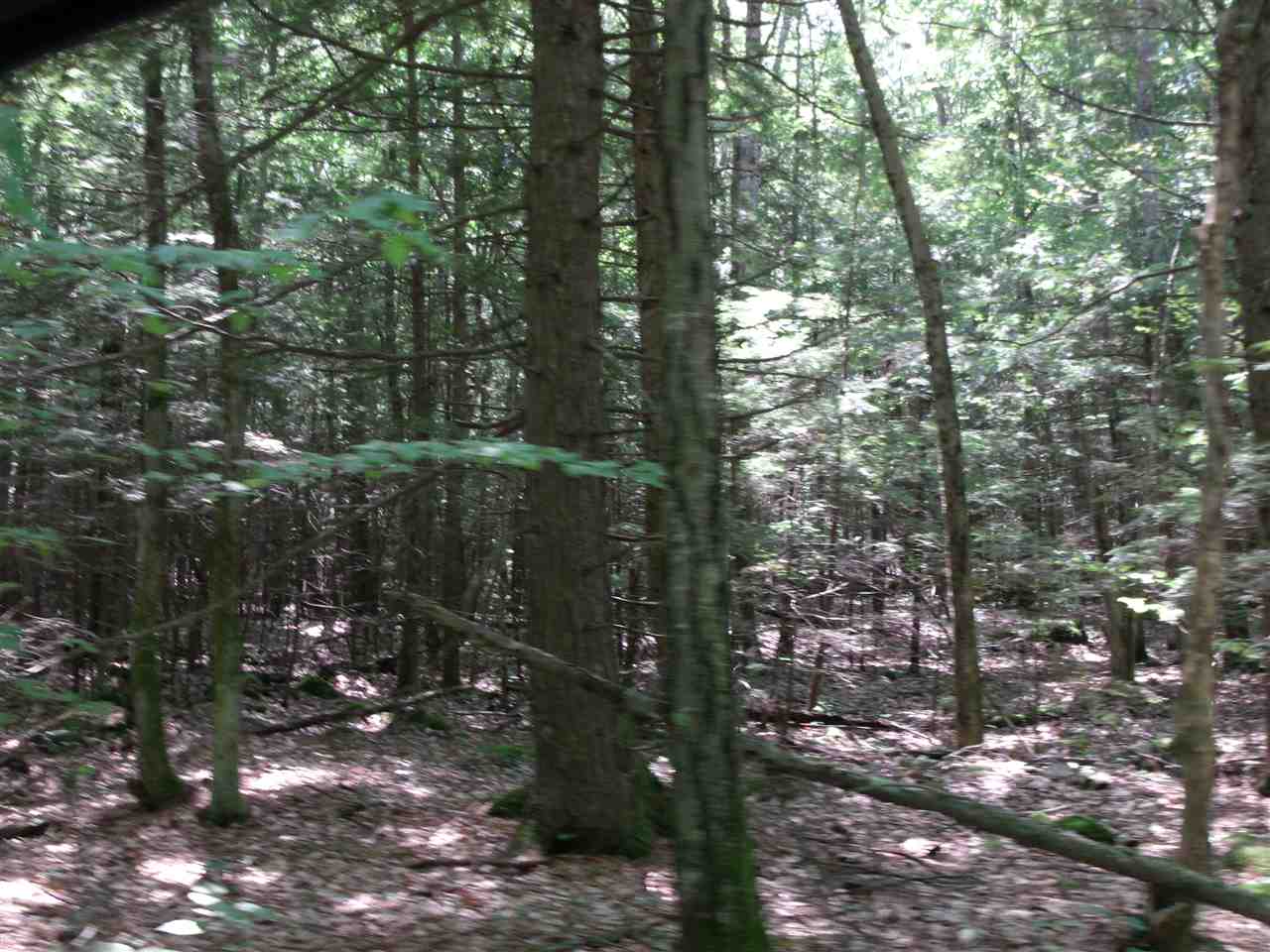 L06 County Road Dunbarton, NH 03046 - Photo 4 of 5