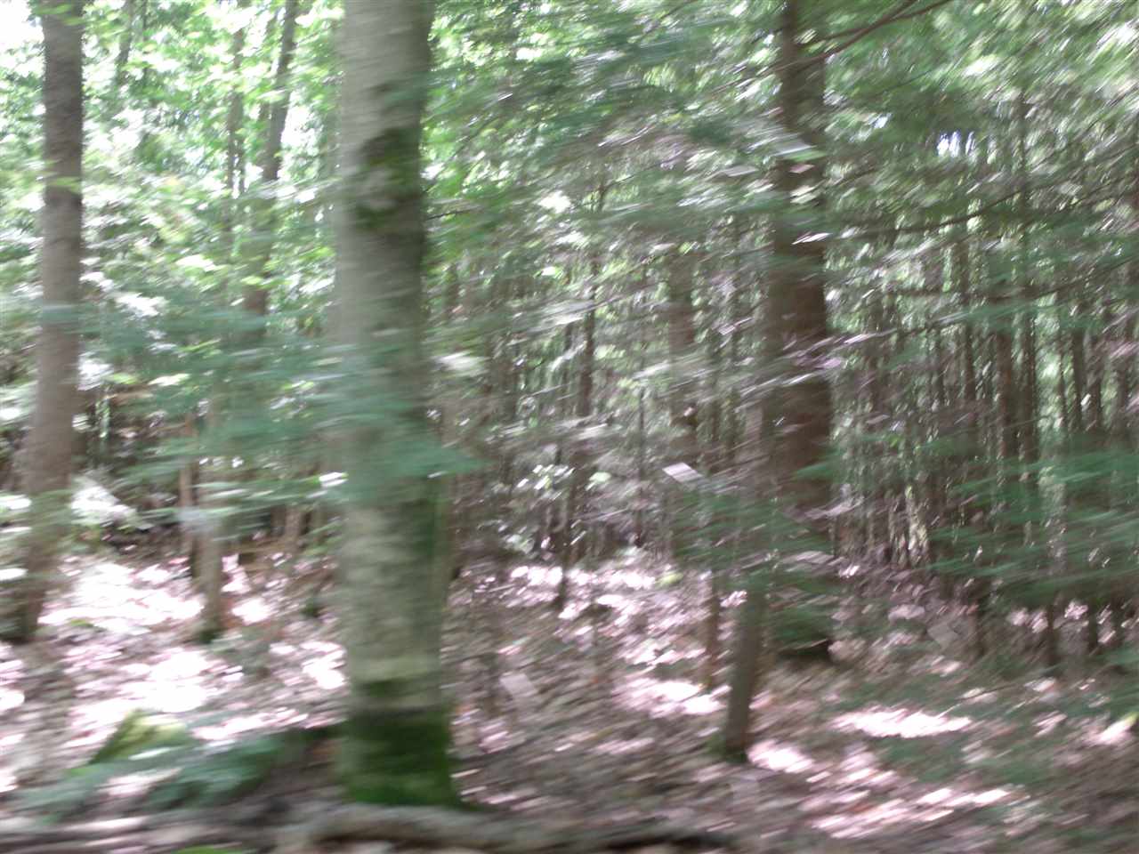 L06 County Road Dunbarton, NH 03046 - Photo 5 of 5