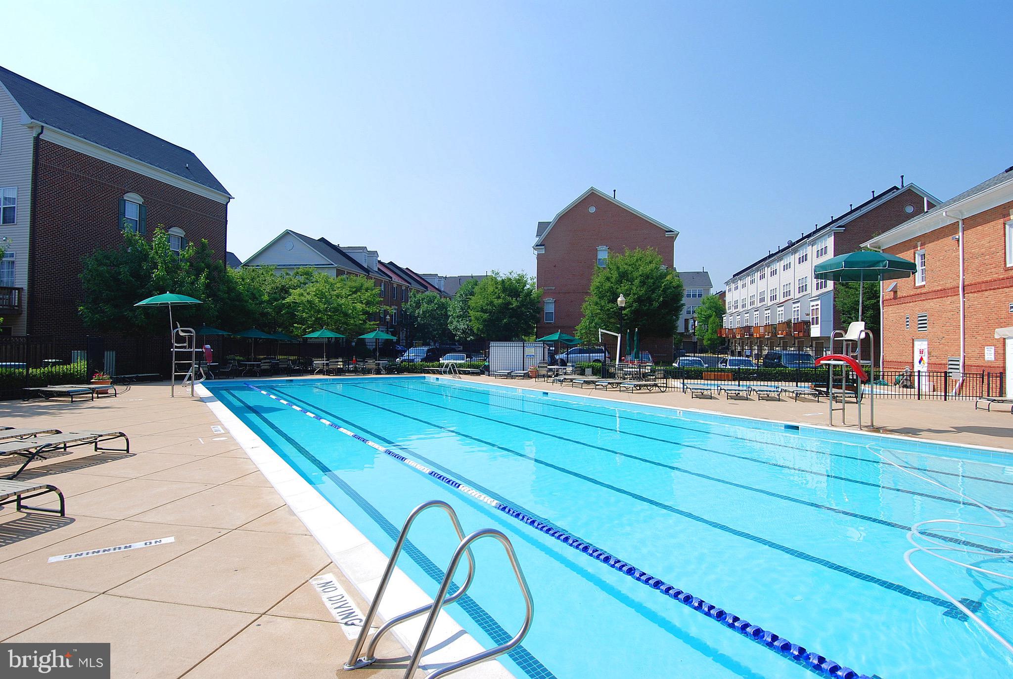 4908 Waple Lane Alexandria, VA 22304 - Photo 34 of 36 a swimming pool with outdoor seating and yard