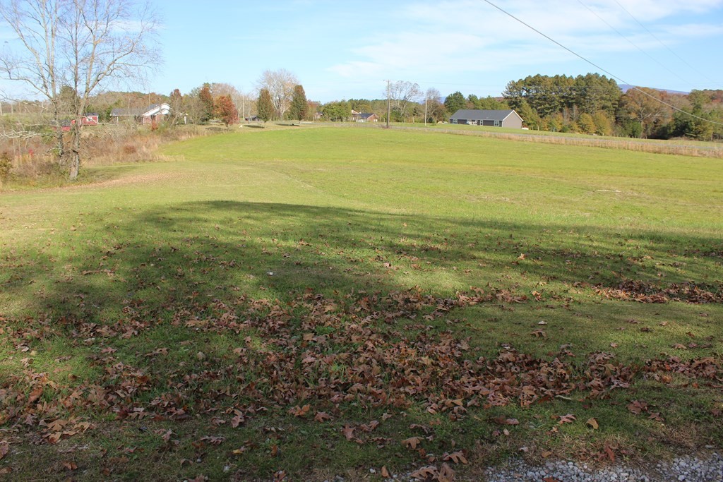 321 Benton Station Road Benton, TN 37307 - Photo 3 of 25 Gallery Image 3