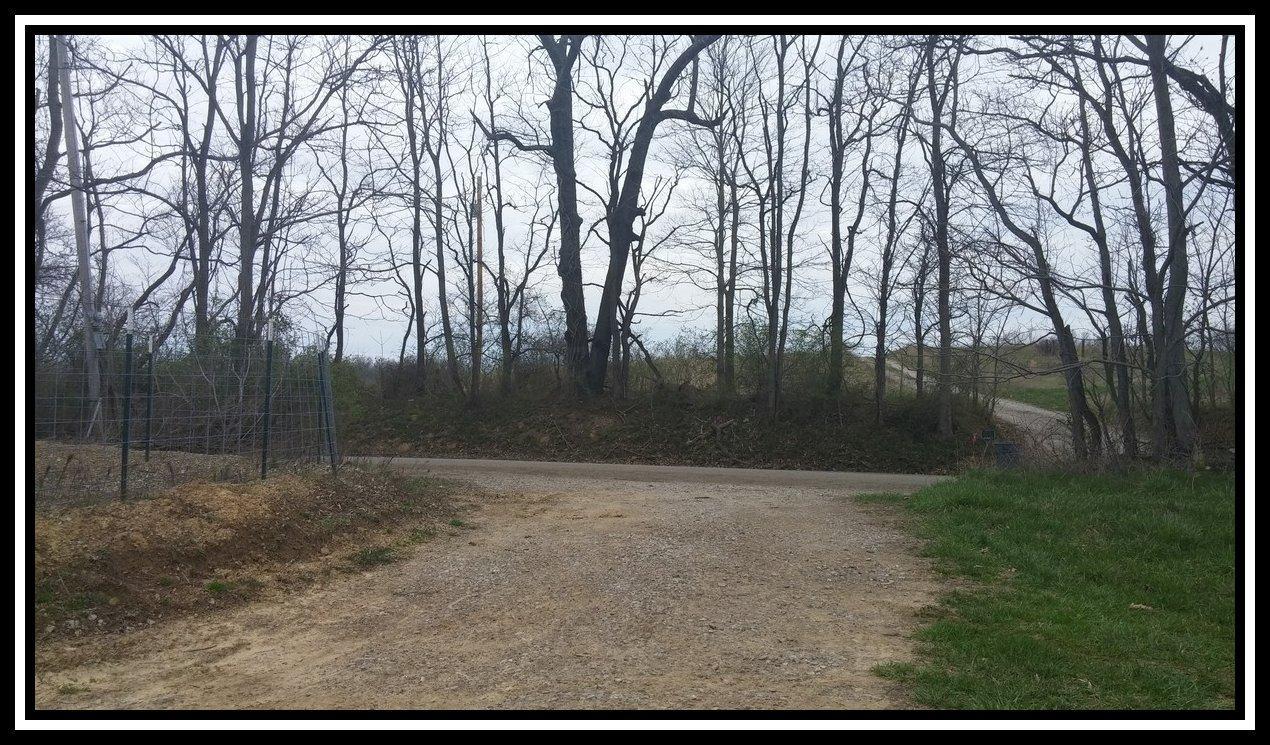 3040 Slack Road Mount Perry, OH 43760 - Photo 12 of 12