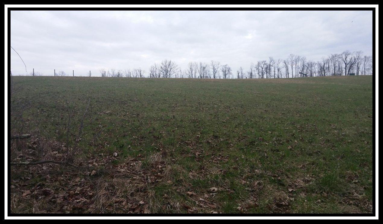 3040 Slack Road Mount Perry, OH 43760 - Photo 3 of 12