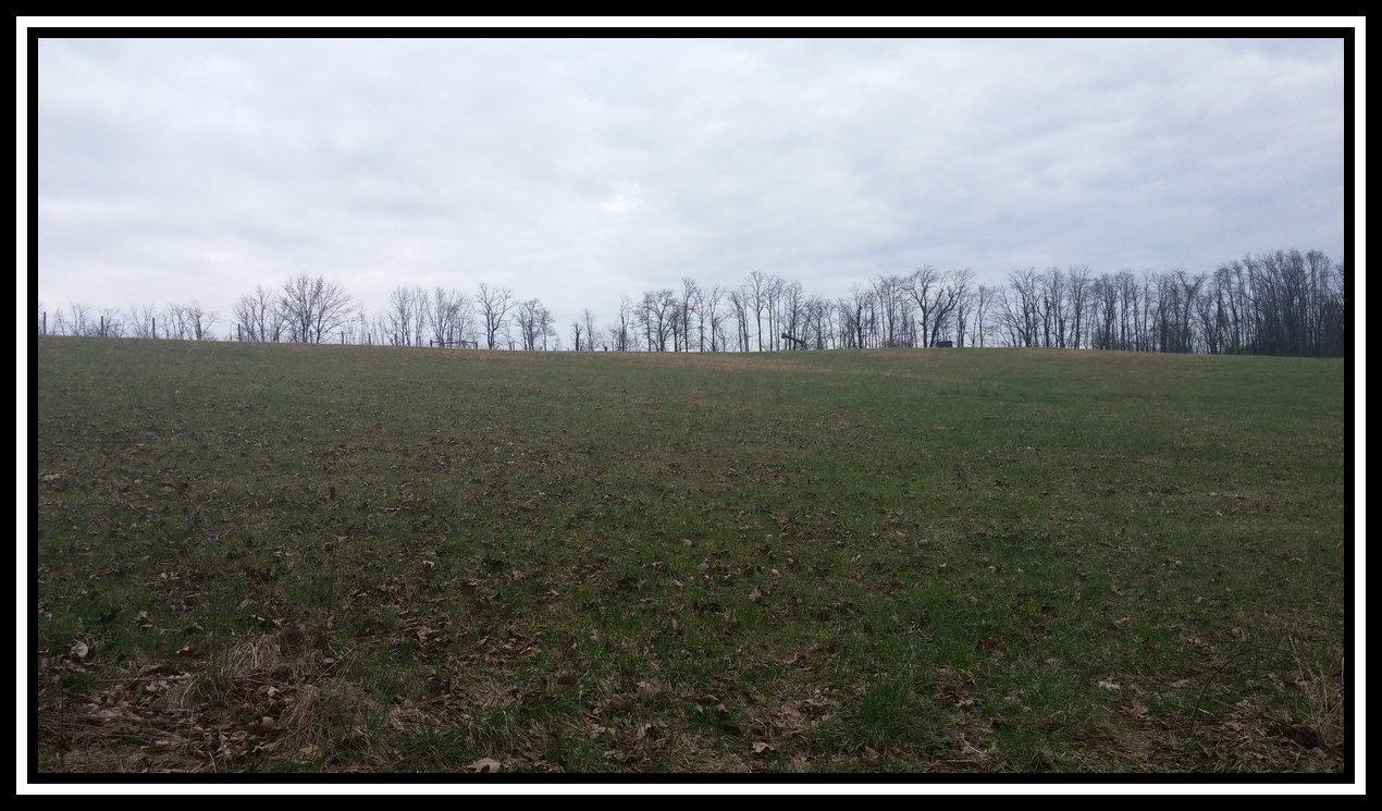 3040 Slack Road Mount Perry, OH 43760 - Photo 4 of 12