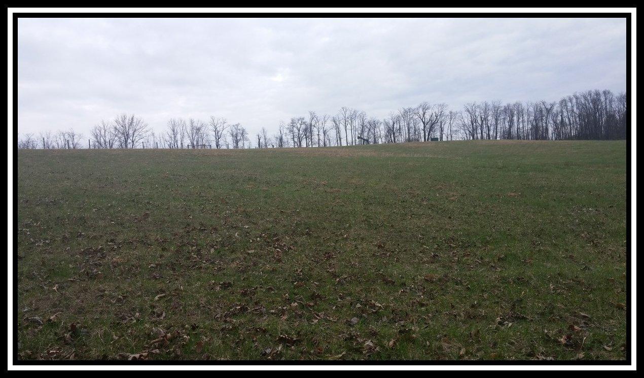 3040 Slack Road Mount Perry, OH 43760 - Photo 5 of 12