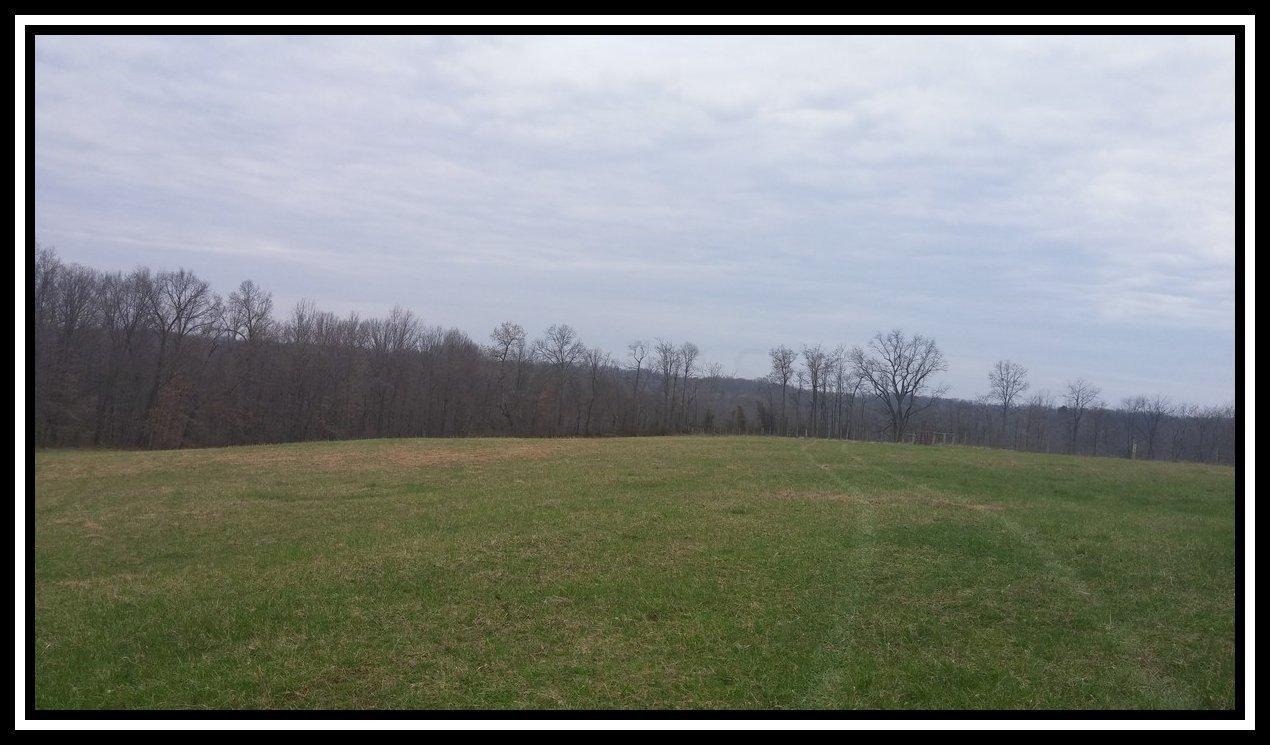 3040 Slack Road Mount Perry, OH 43760 - Photo 7 of 12