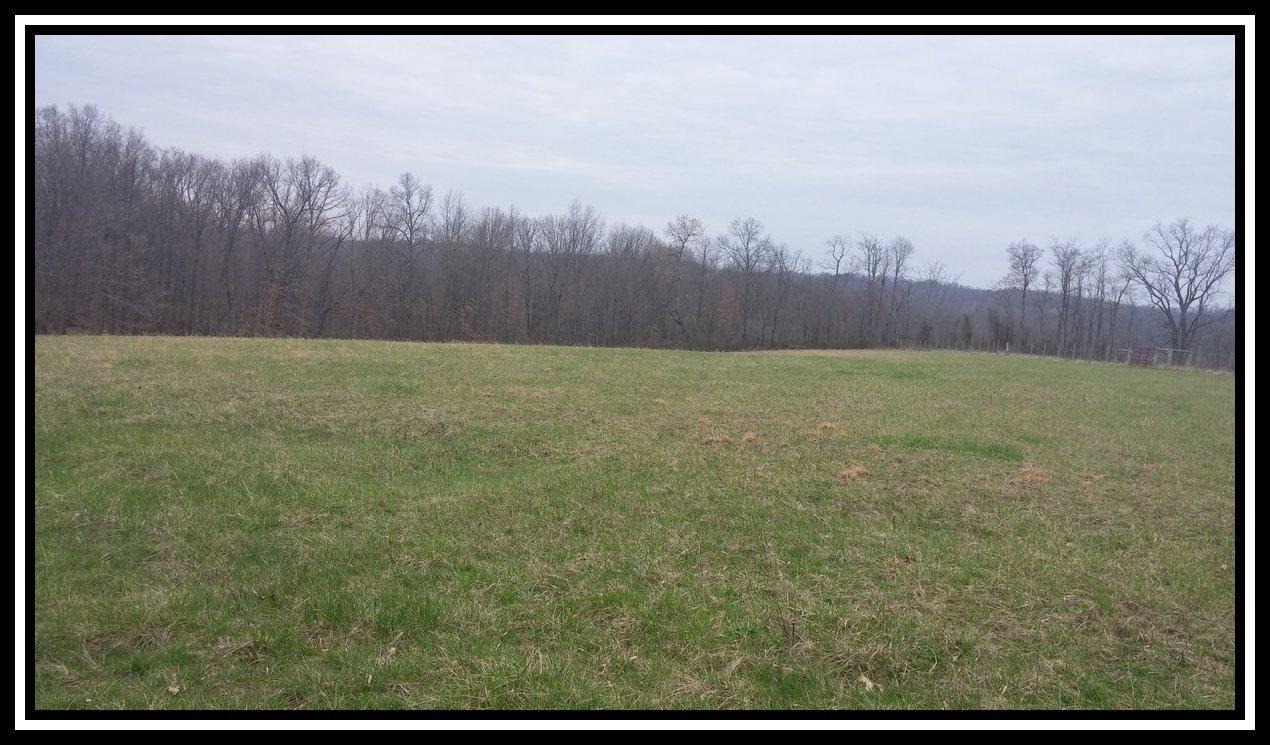 3040 Slack Road Mount Perry, OH 43760 - Photo 8 of 12