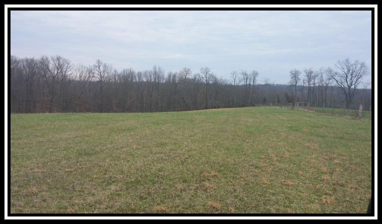 3040 Slack Road Mount Perry, OH 43760 - Photo 9 of 12