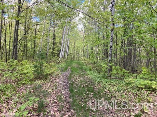 2 Boundary Road Chassell, MI 49916 - Photo 50 of 77