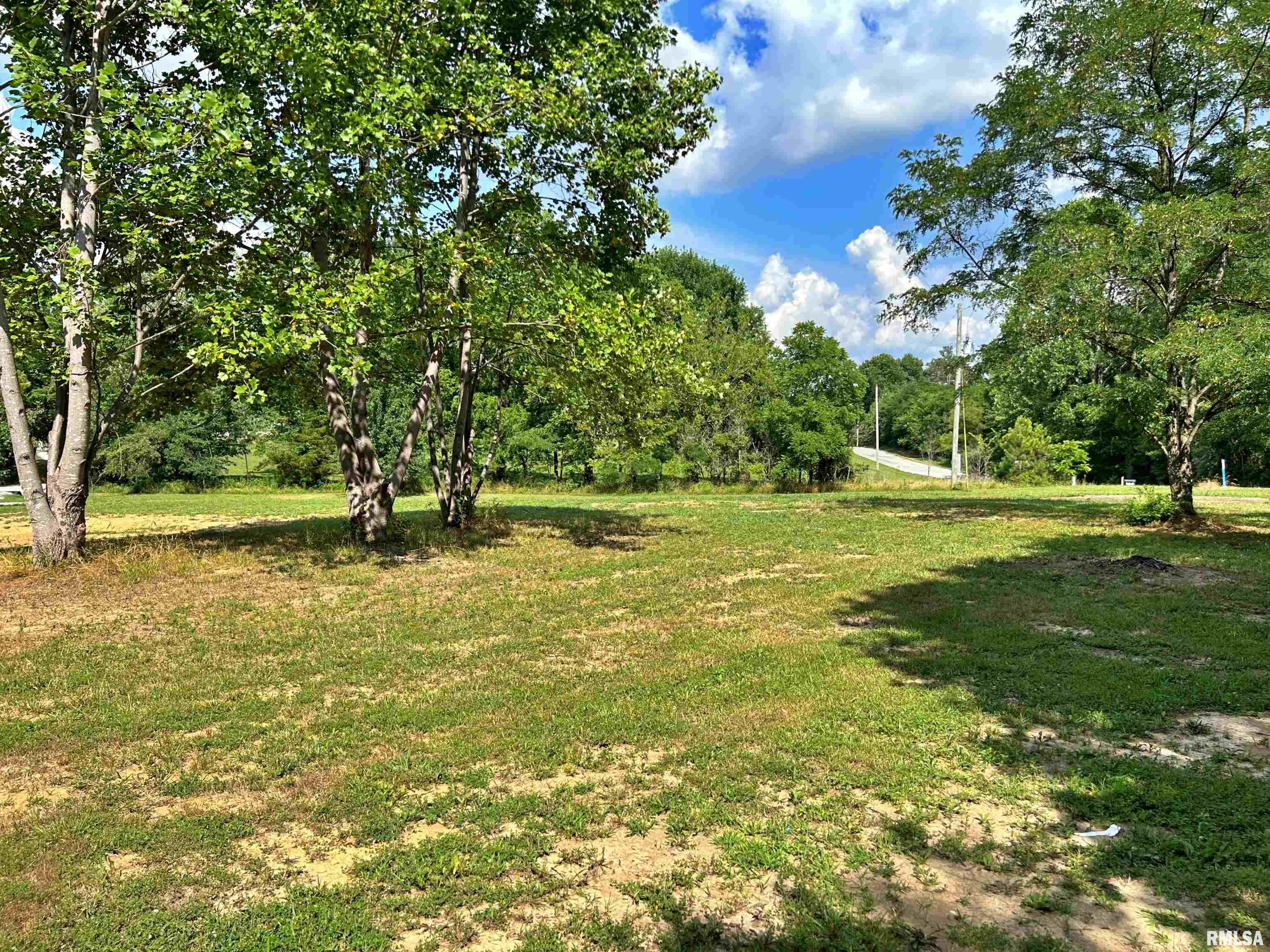 40 Presley Loop Golconda, IL 62938 - Photo 14 of 49