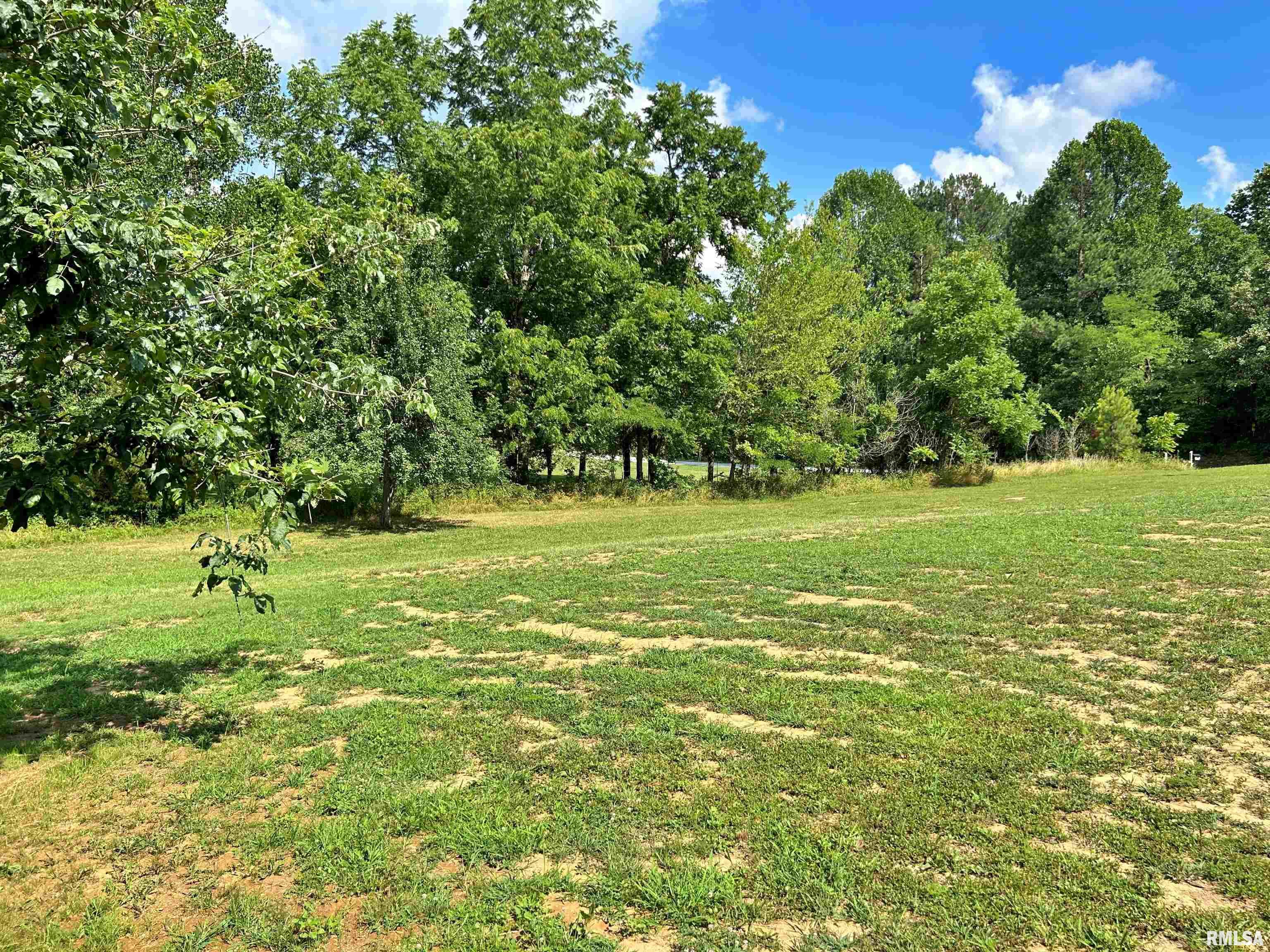 40 Presley Loop Golconda, IL 62938 - Photo 10 of 49