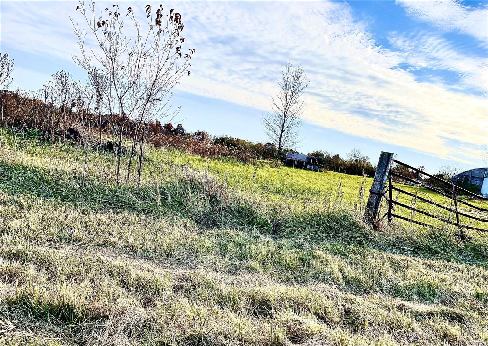 5800 Crowe Farm Road Waterloo, IL 62298 - Photo 3 of 6