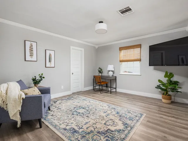a living room with furniture and a potted plant