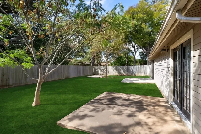 a view of a yard with plants and a large tree
