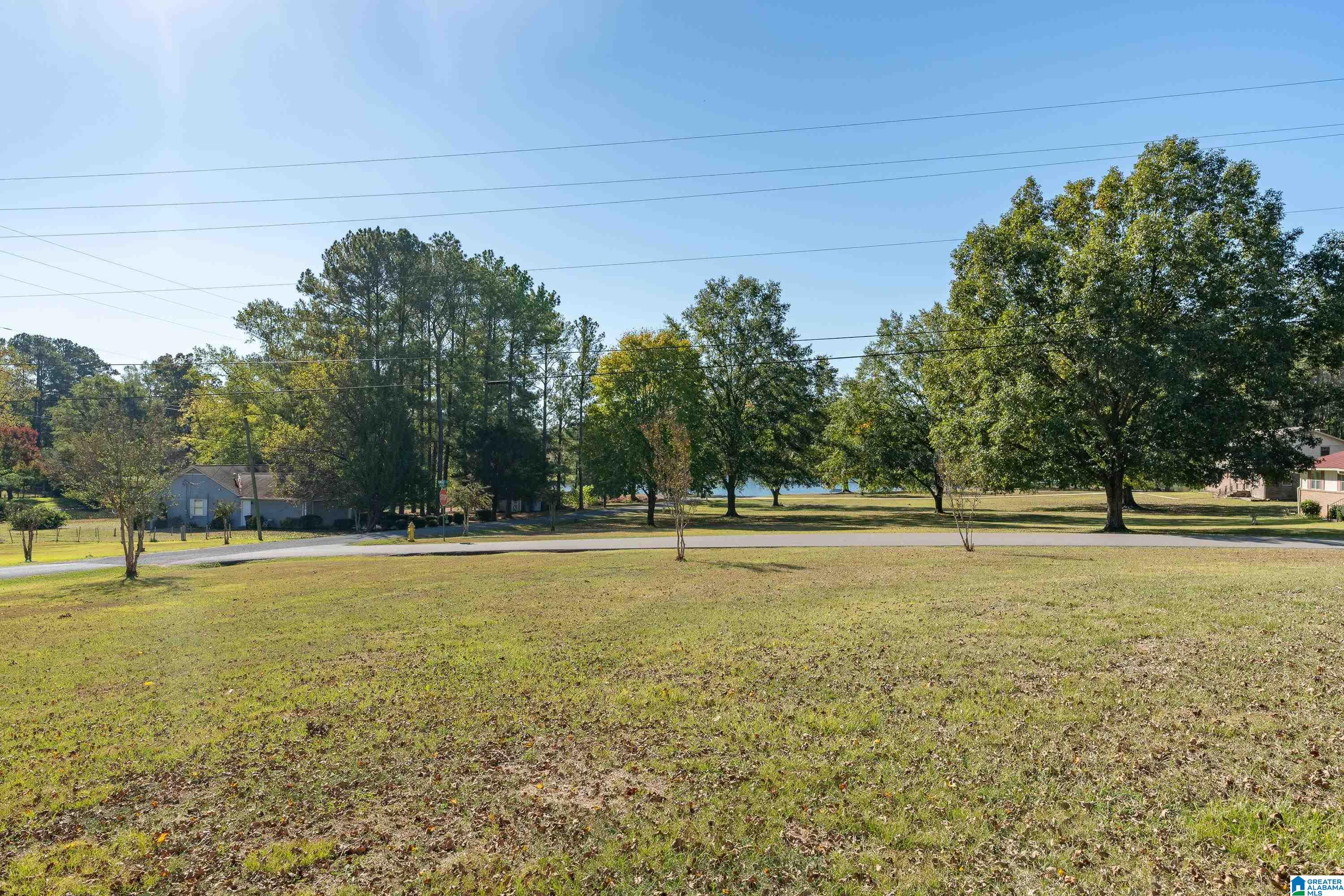 1804 Sunnybrook Lane Helena, AL 35080 - Photo 3 of 36