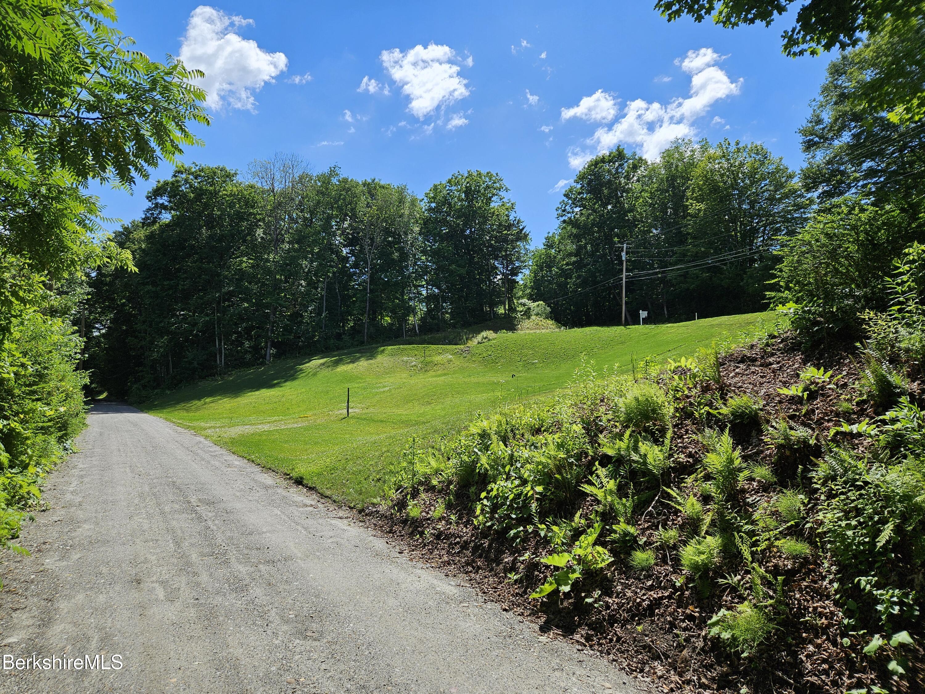 0 Horns Beach Road Cheshire, MA 01225 - Photo 4 of 19 Cleared Building Site