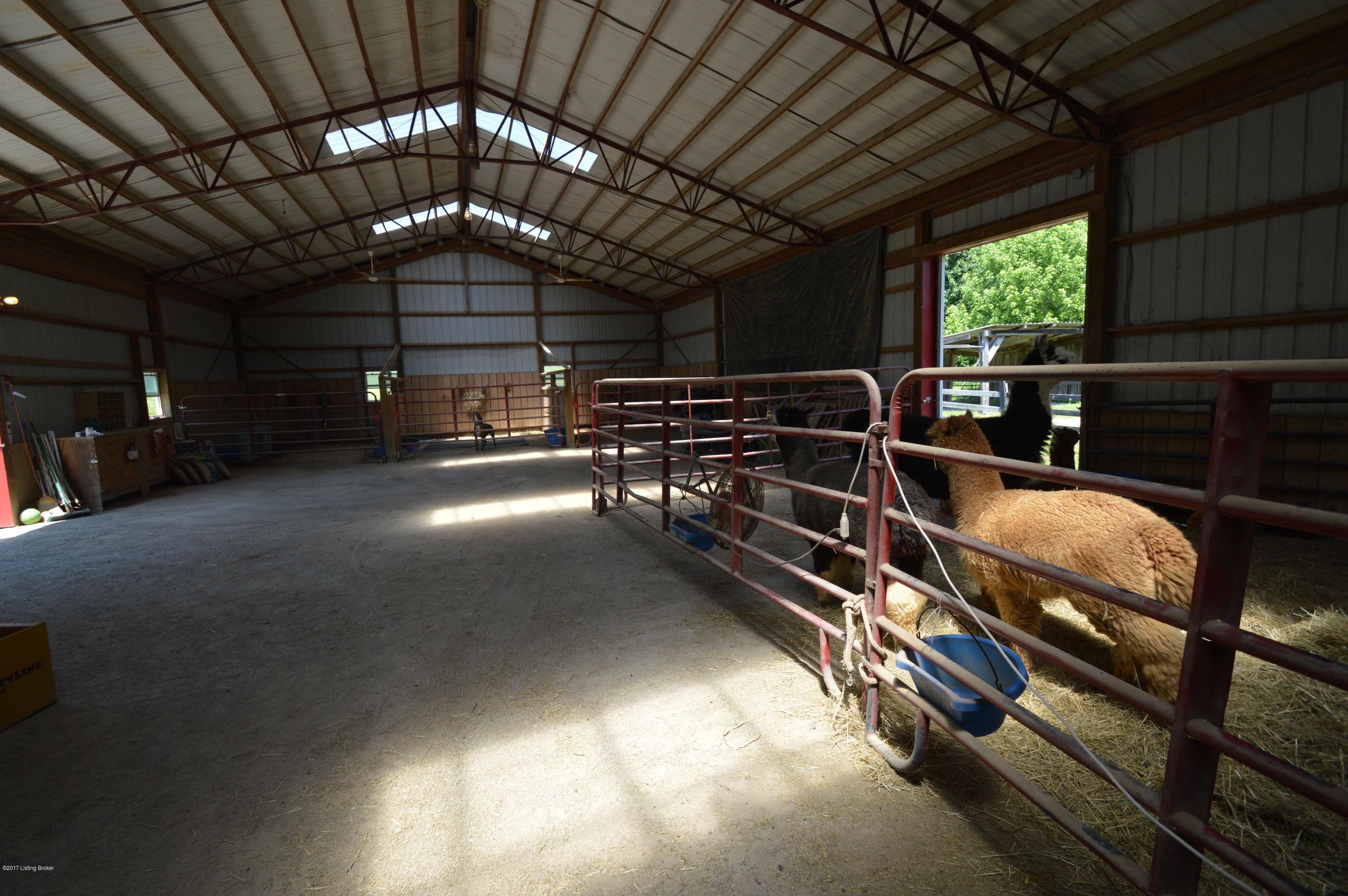 2795 Zoneton Road Shepherdsville, KY 40165 - Photo 95 of 105 DSC_1180