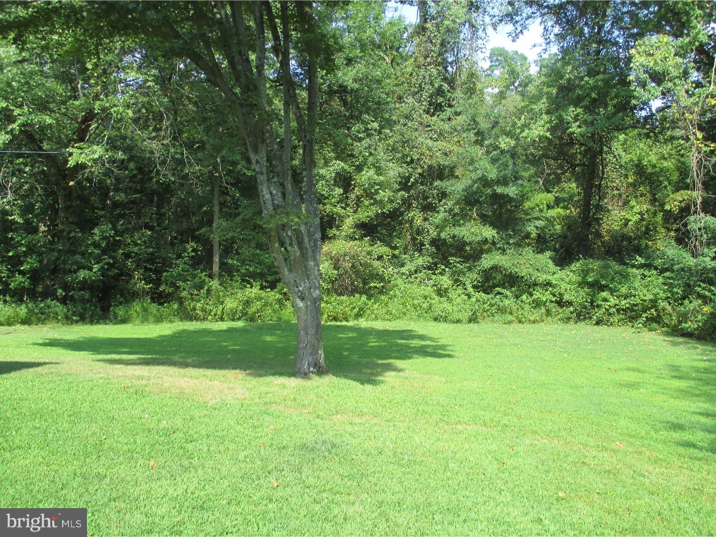 401 Graystone Road Ambler, PA 19002 - Photo 19 of 19 Exterior Back