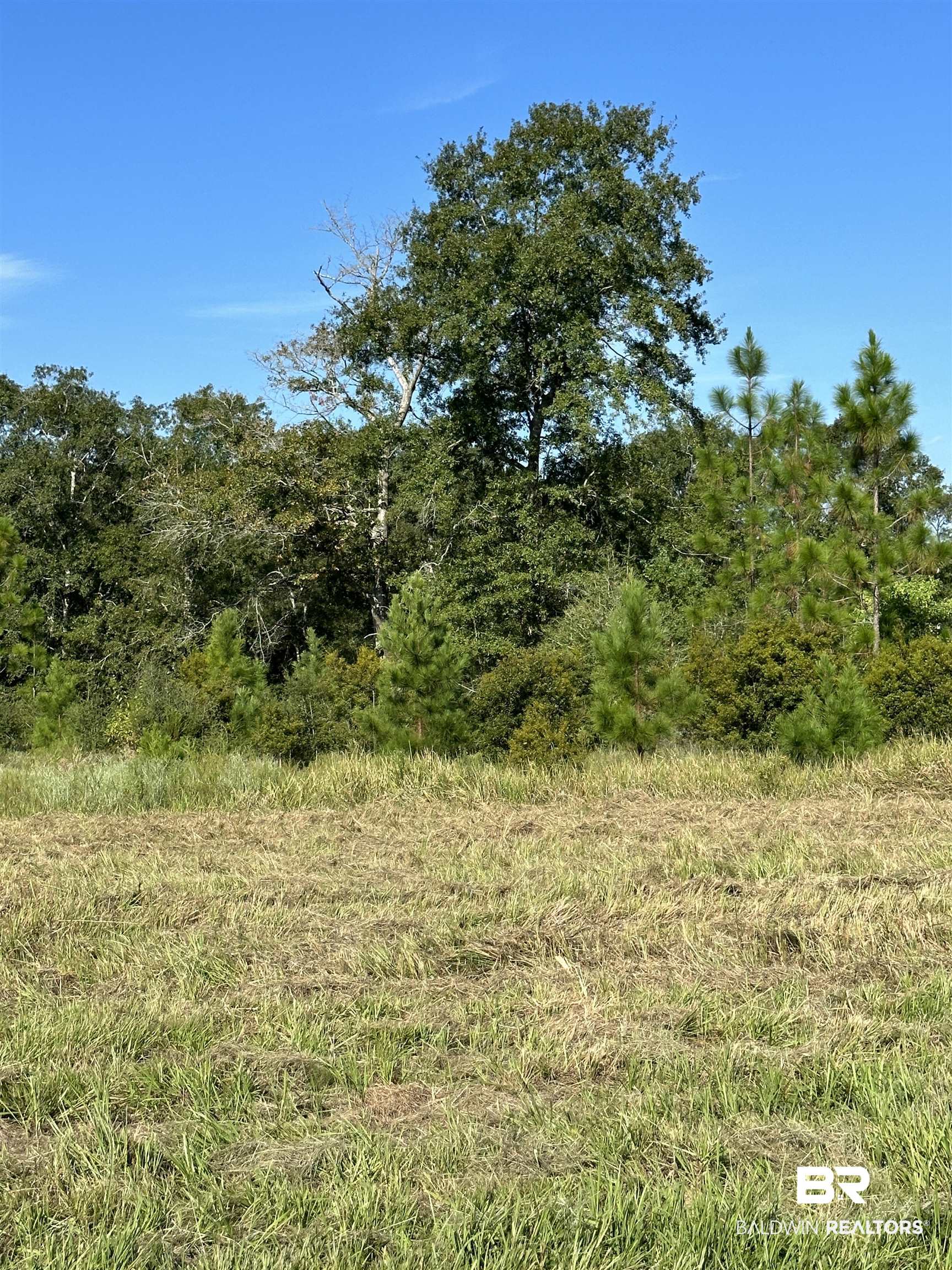 0 Hampton Ridge Mobile, AL 36608 - Photo 3 of 7