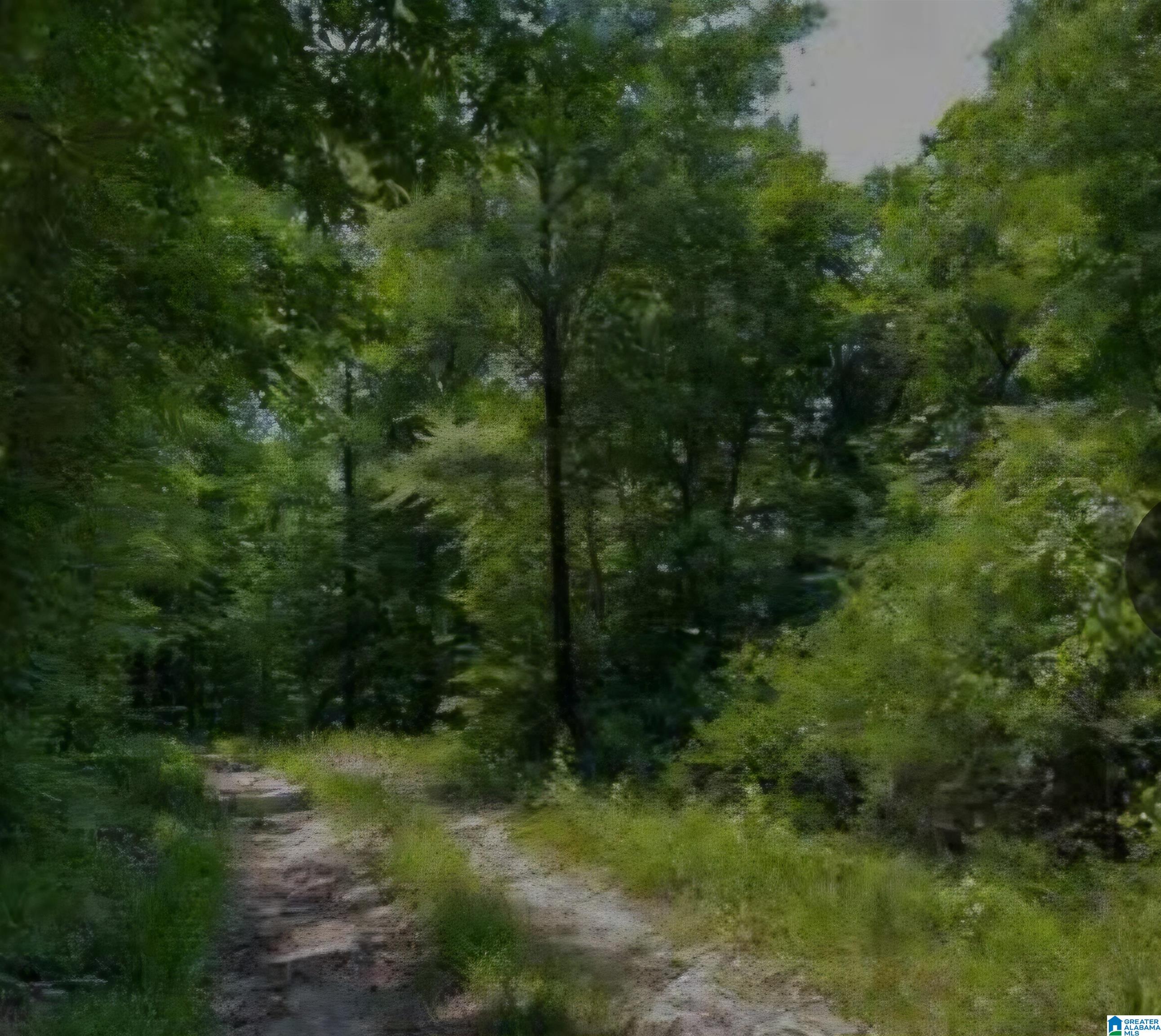 0 County Road 103, Unit 1 Plantersville, AL 36758 - Photo 5 of 7