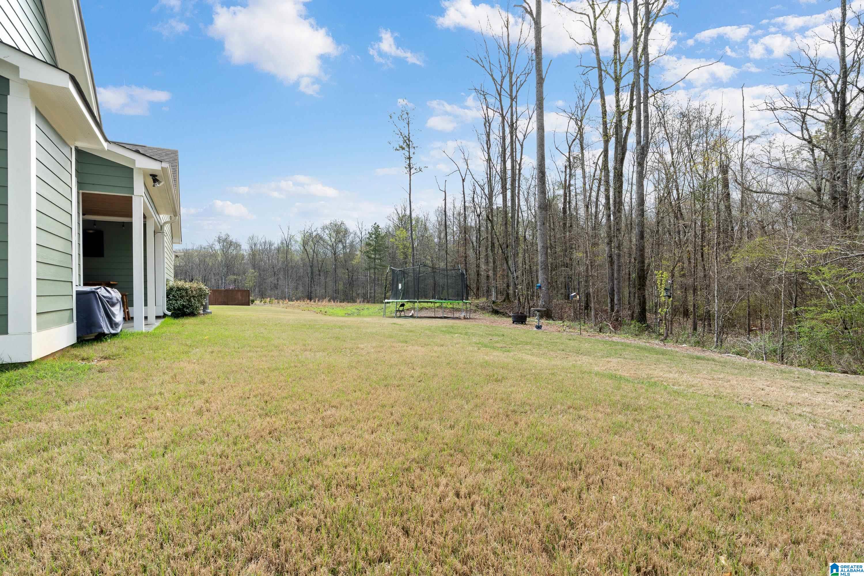 2448 Murphy Pass Birmingham, AL 35244 - Photo 54 of 90