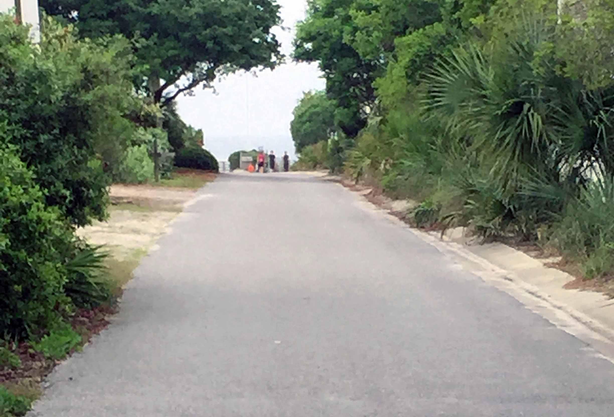 Lot 2 Pinecrest Inlet Beach Inlet Beach, FL 32461 - Photo 6 of 13 a view of a street with a trees