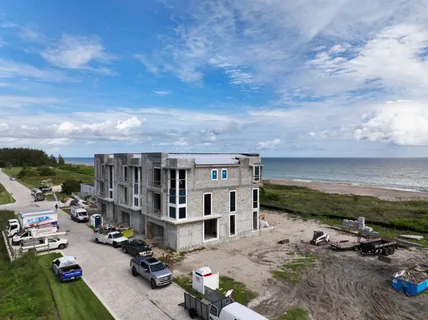 a view of a city with flower plants in front of it
