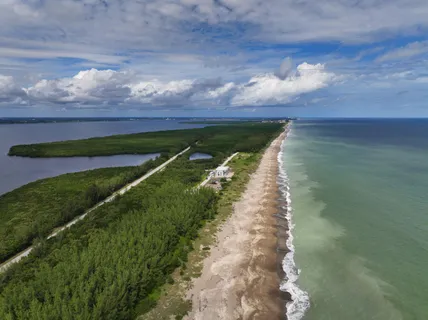 a view of a pathway both side of grassy with wooden floor
