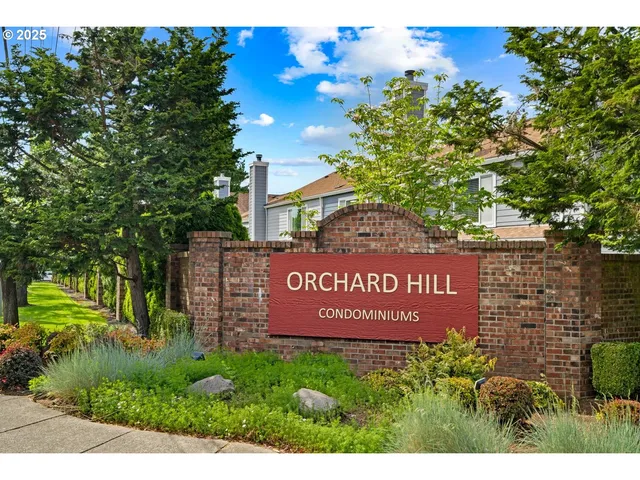 a view of a house with a backyard and a patio