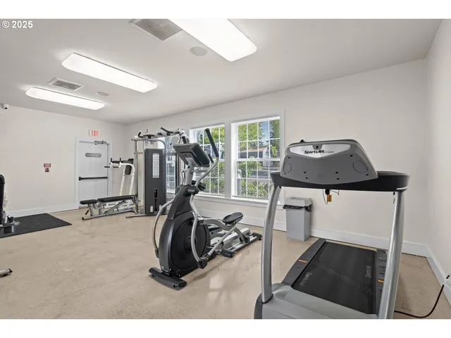 a view of a park with slide