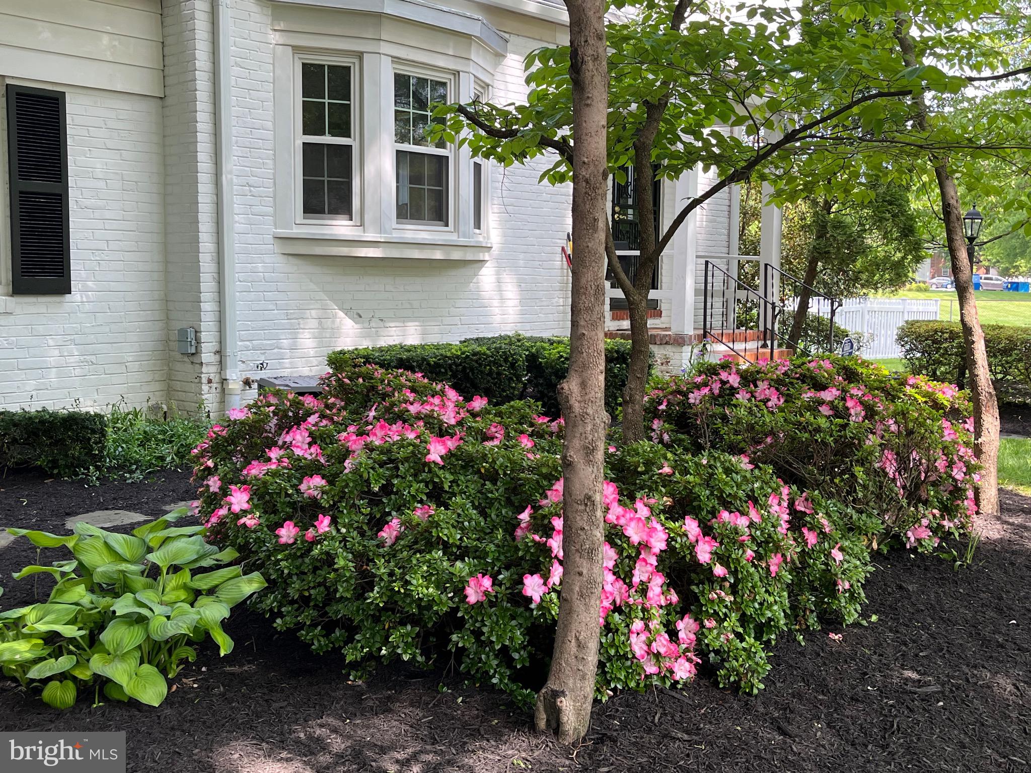 4608 Harvard Road College Park, MD 20740 - Photo 6 of 51 Front Garden