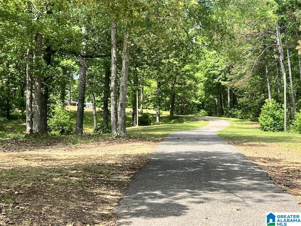 359 Arrowhead Drive Riverside, AL 35135 - Photo 11 of 38