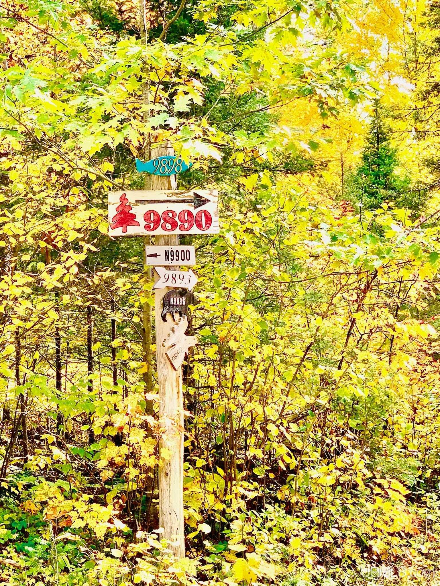 N9900 Norway Lake Road Felch, MI 49831 - Photo 9 of 12 Gallery Image 9