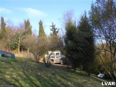 0 Molasses Valley Road Kunkletown, PA 18058 - Photo 4 of 7 YARD AREA